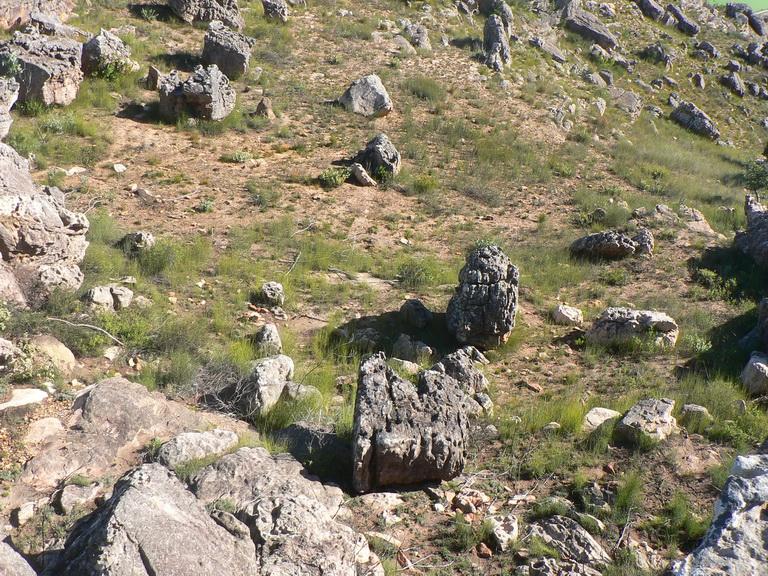 0 Bedroom Property for Sale in Piketberg Rural Western Cape
